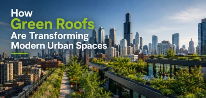 The Future of Sustainable Urban Living