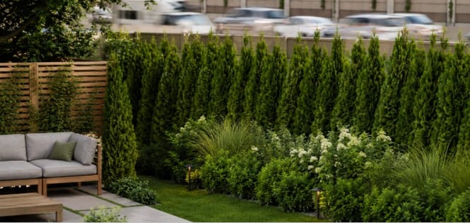 How to Use Landscaping to Reduce Traffic Noise Pollution